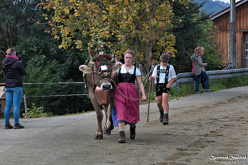 Bernhard Saalfeld - Viehscheid (2v9)